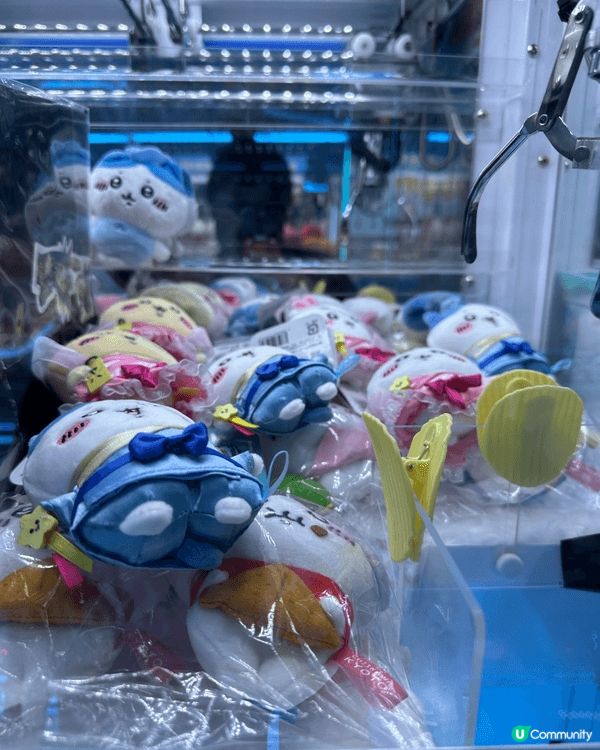 因為飛鼠