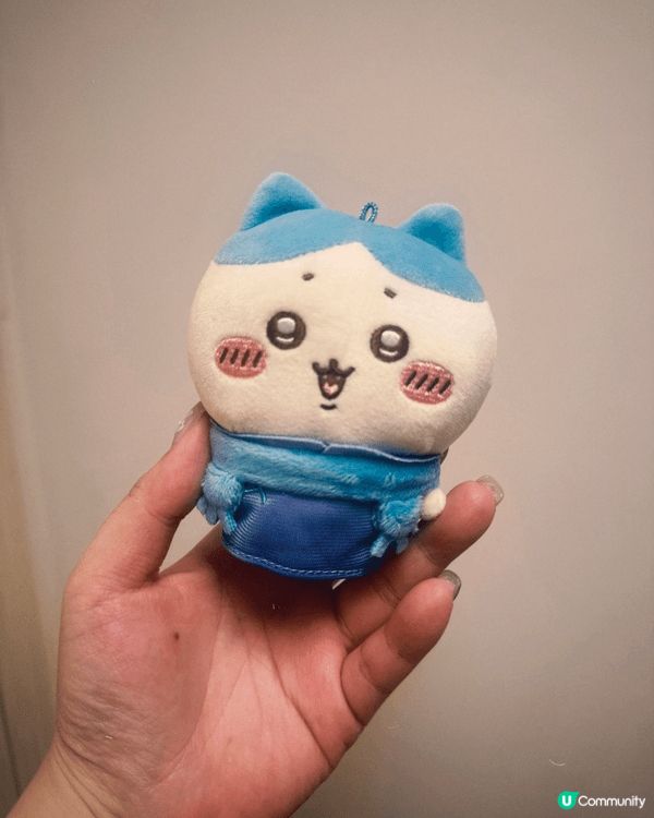 今次分享下我平時默默搜集嘅 Chiikawa（每次都話唔買唔...