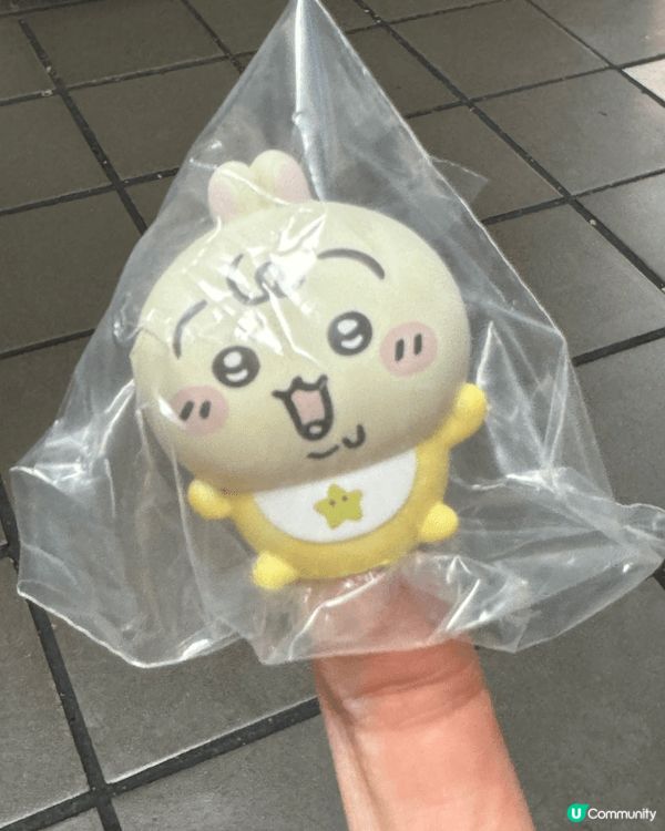 最鐘意兔兔因為佢活潑嘅性格同成日亂叫好正，有啲似我理想中嘅自...