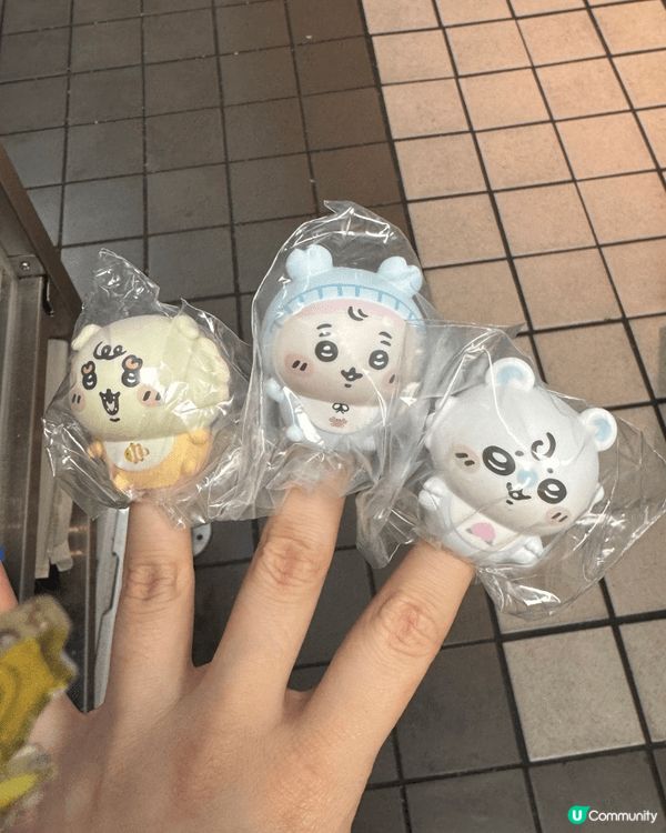 最鐘意兔兔因為佢活潑嘅性格同成日亂叫好正，有啲似我理想中嘅自...