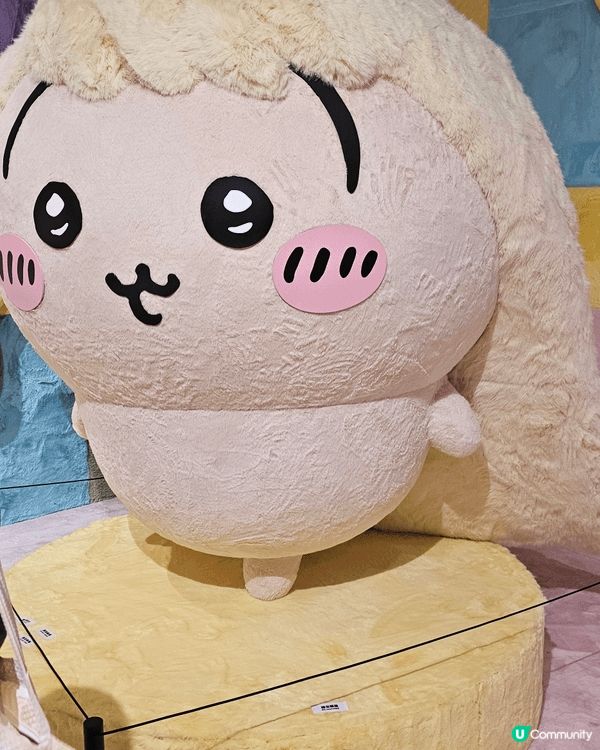 Chiikowa 未出世到出世後都浸沉在Chiikawa 的...