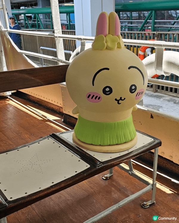 Chiikowa 未出世到出世後都浸沉在Chiikawa 的...
