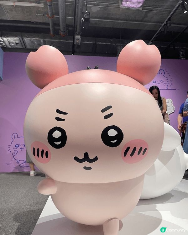 我係被U wawa U wa同埋嗚啦呀哈所洗腦，加上身邊嘅人...