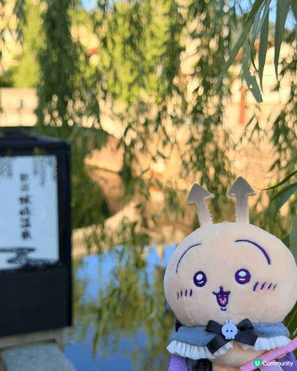 喜歡帶娃去旅行拍照，已經入坑chiikawa 2年有多，最喜...