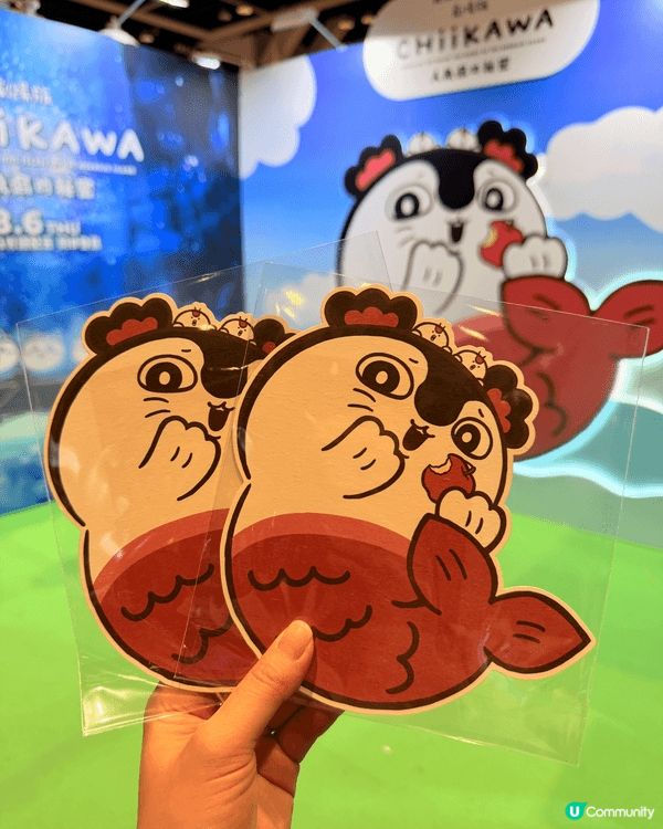 喜歡帶娃去旅行拍照，已經入坑chiikawa 2年有多，最喜...