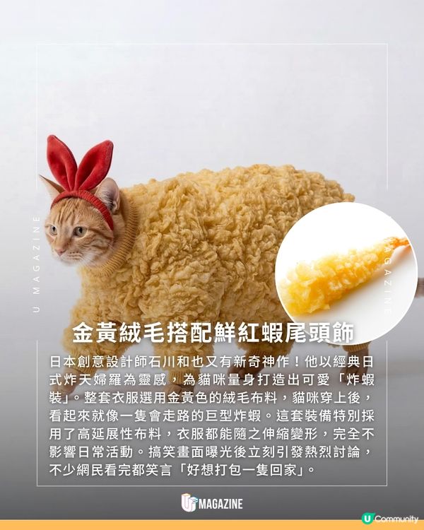 把主子扮成可口的炸天婦羅？                                         