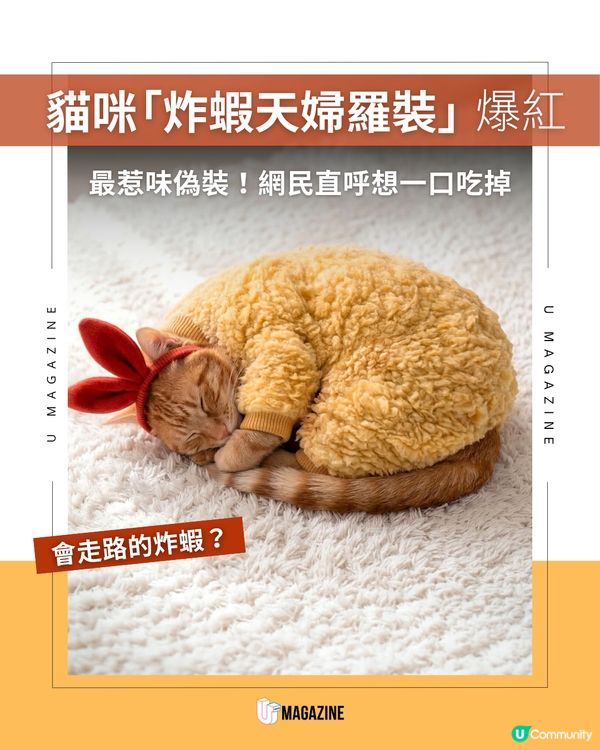 把主子扮成可口的炸天婦羅？                                         