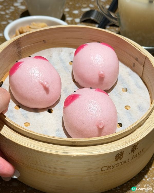 海港城江南翡翠！江浙菜唔貴👍🌊