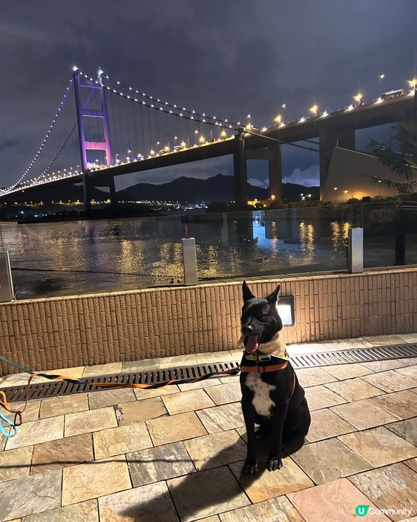 睇夜景✨🤩
