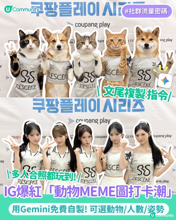 【IG爆紅打卡潮】用 AI 自製專屬動物 MEME 圖合照！