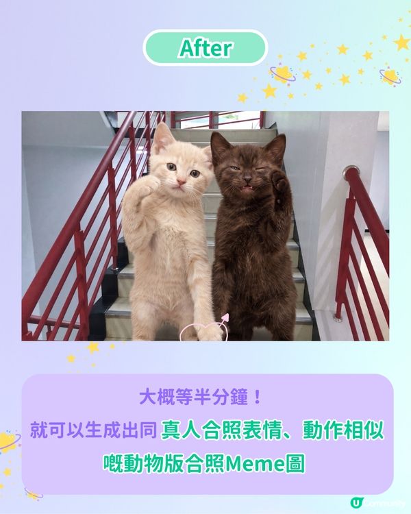 【IG爆紅打卡潮】用 AI 自製專屬動物 MEME 圖合照！