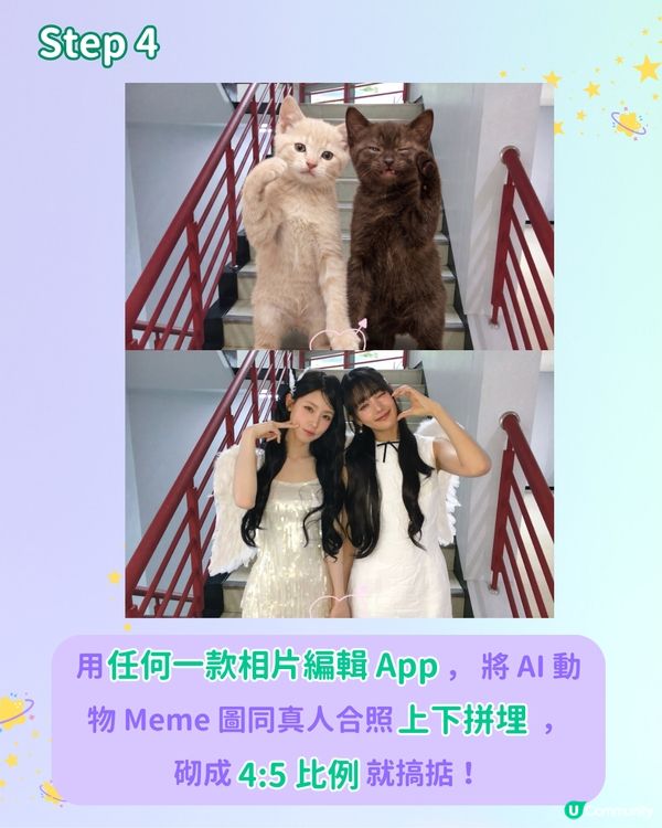 【IG爆紅打卡潮】用 AI 自製專屬動物 MEME 圖合照！