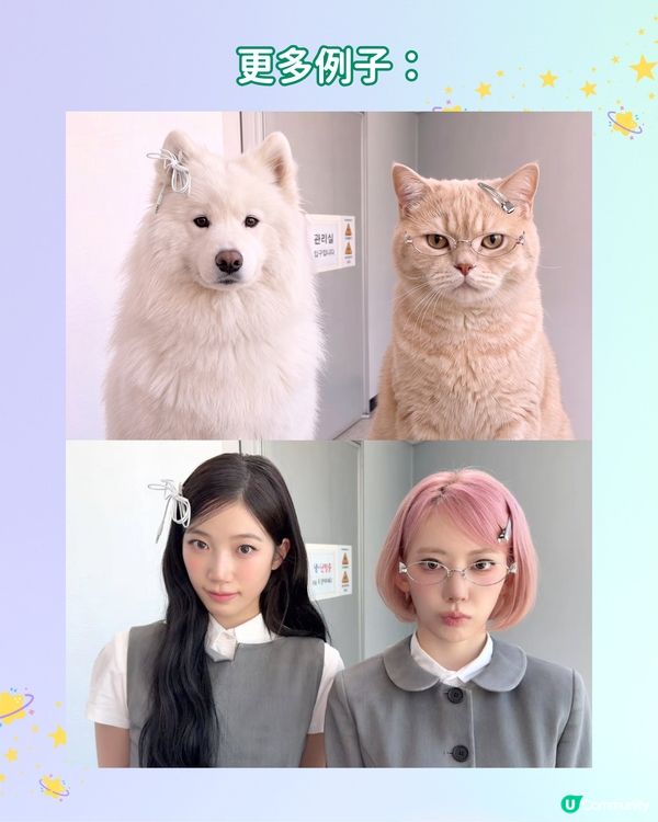 【IG爆紅打卡潮】用 AI 自製專屬動物 MEME 圖合照！