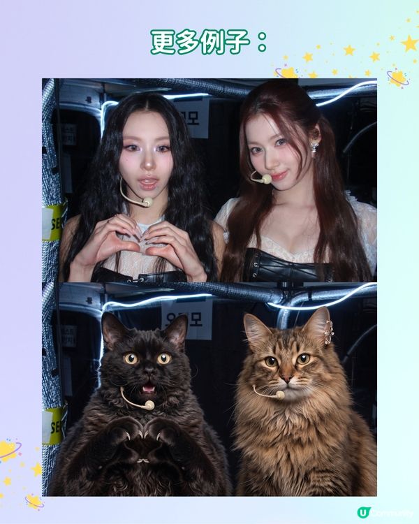 【IG爆紅打卡潮】用 AI 自製專屬動物 MEME 圖合照！