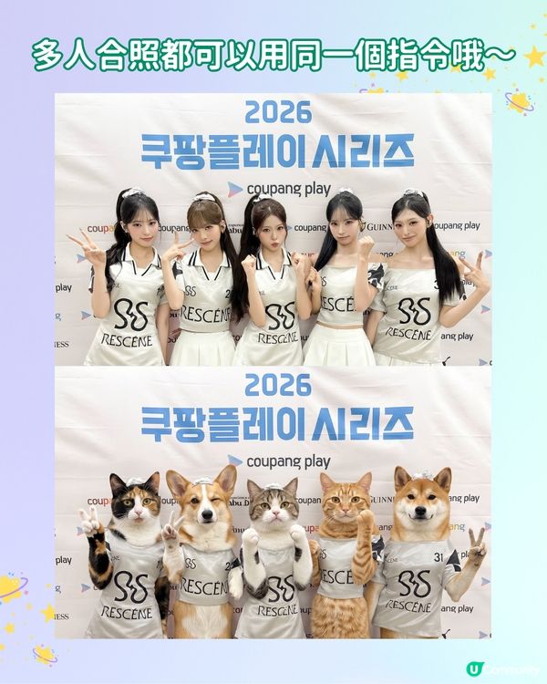 【IG爆紅打卡潮】用 AI 自製專屬動物 MEME 圖合照！