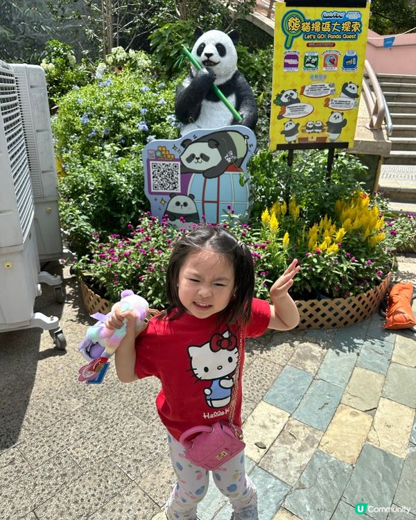 Ocean park人少🌞好chill！🐼