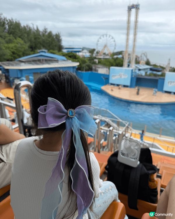 海洋公園非常適合親子遊，園內有大熊貓、企鵝、海豚及各種海洋生...
