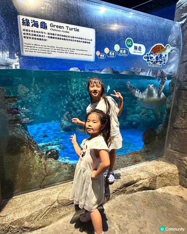 海洋公園有得玩水！好多加加得得打卡位