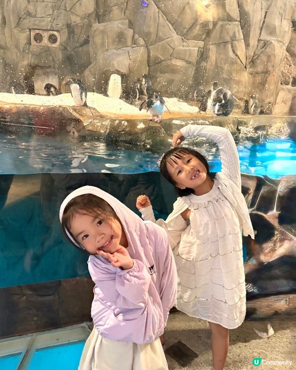 海洋公園有得玩水！好多加加得得打卡位