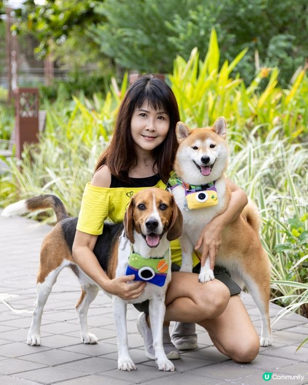 Tobey Coco 🐕 我嘅專業小 model. 快閃兩個...