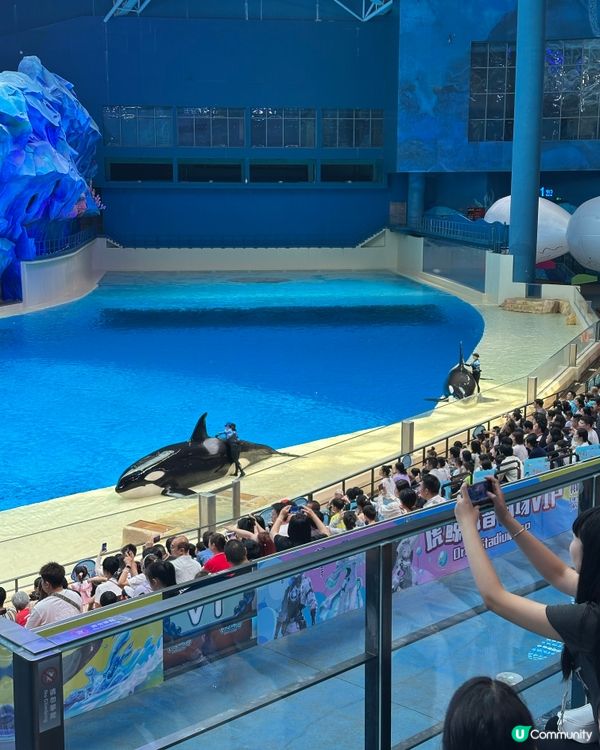 珠海長隆飛船樂園：全室內設計，暑假避暑👨‍👩‍👧‍👦