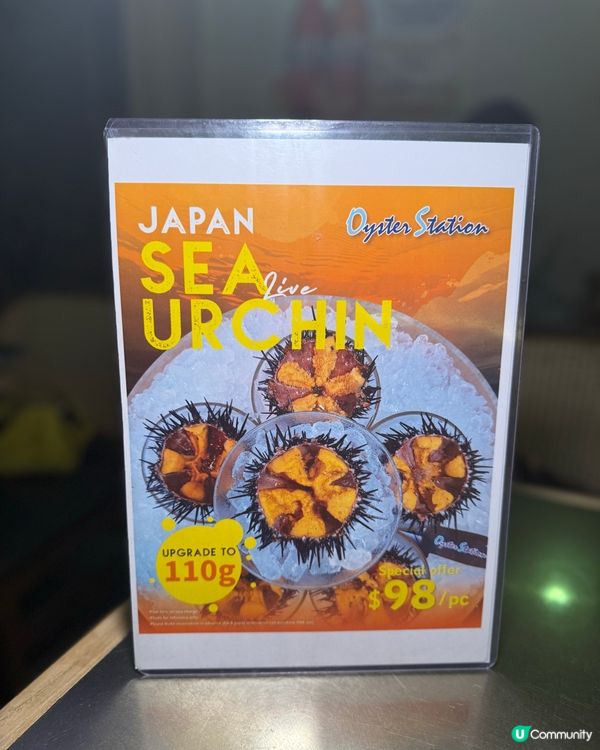 全日任點任食$𝟏𝟎隻生蠔🦪‼️