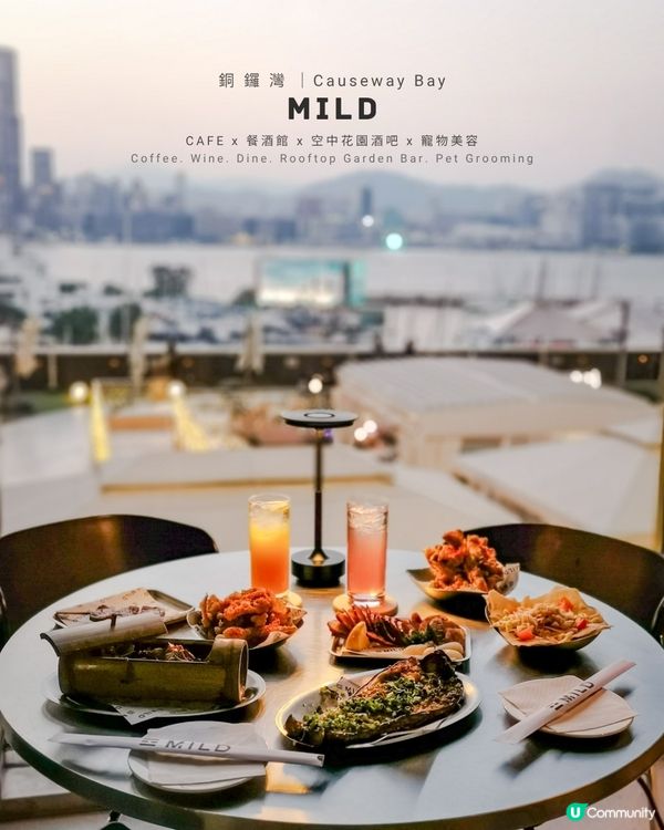 空中花園餐酒館🥂飽覽浪漫維港黃昏美景💕