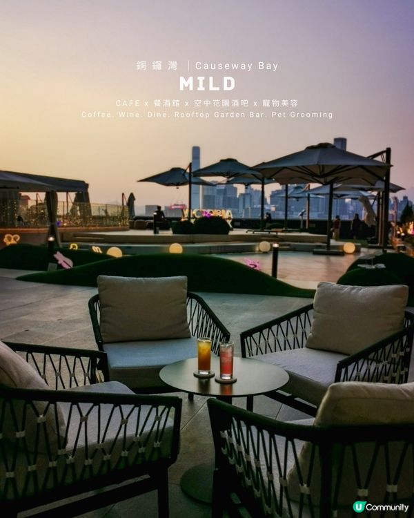 空中花園餐酒館🥂飽覽浪漫維港黃昏美景💕