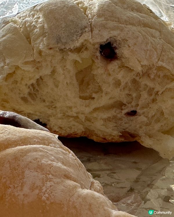 糧友 日式雜果海綿包🥖