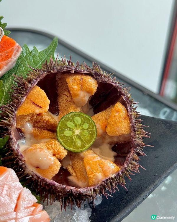 網紅線下魚生店📍🐟 必試重點推介！