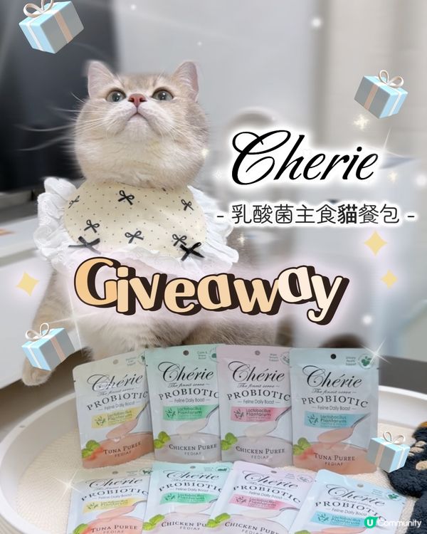 yy飛飛試新嘢，腸胃好關鍵！🐈✨