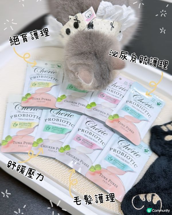 yy飛飛試新嘢，腸胃好關鍵！🐈✨