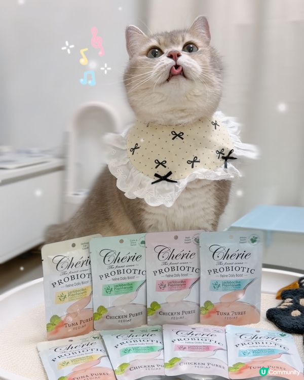 yy飛飛試新嘢，腸胃好關鍵！🐈✨
