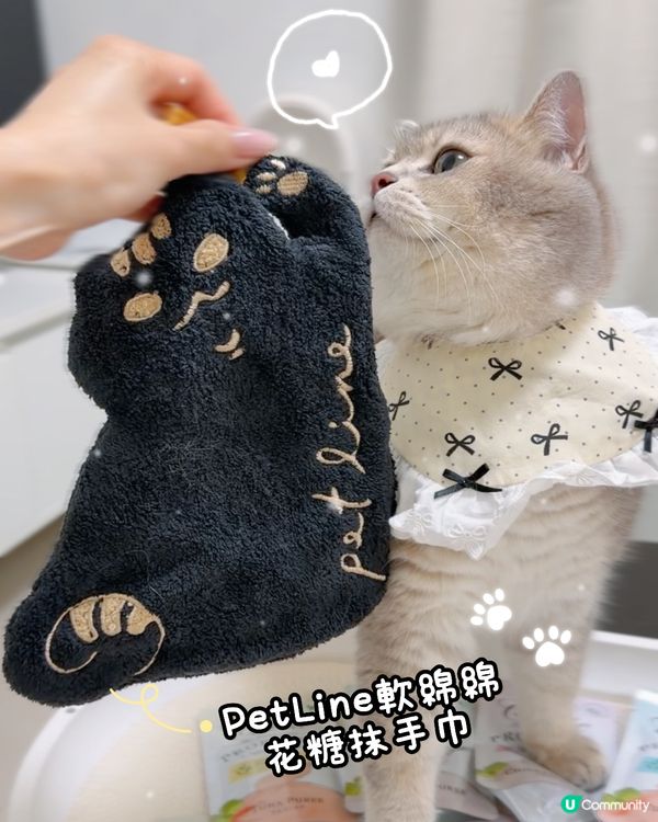 yy飛飛試新嘢，腸胃好關鍵！🐈✨