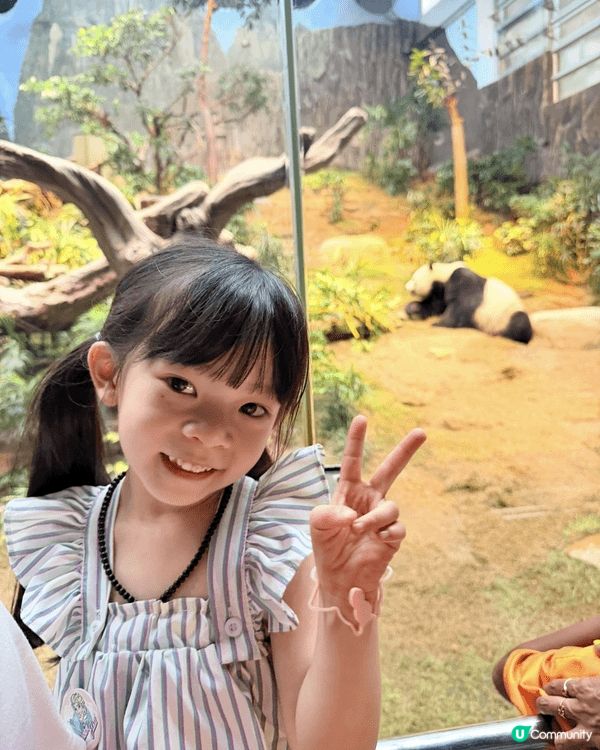 1)海洋公園照顧小熊貓做護理員 ，培養小朋友對瀕臨絕種動物嘅...