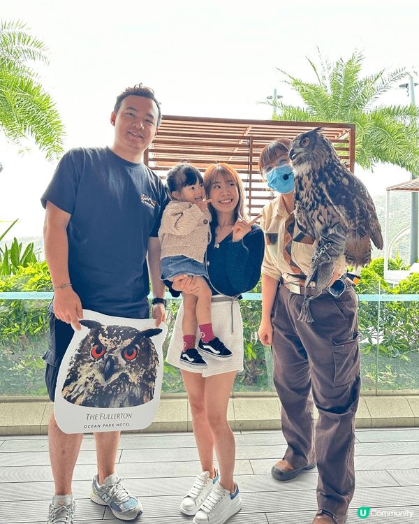 1)海洋公園照顧小熊貓做護理員 ，培養小朋友對瀕臨絕種動物嘅...