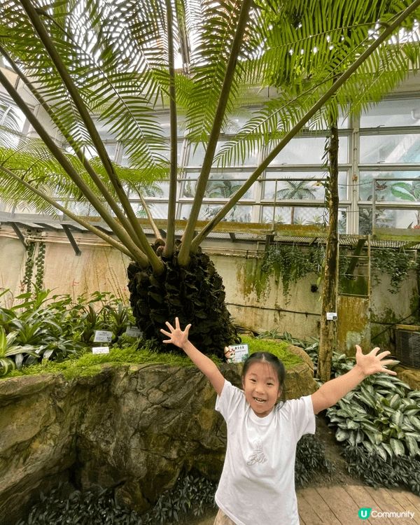 假日唔知帶小朋友去邊？來香港公園玩定向探索啦！🗺️🔍