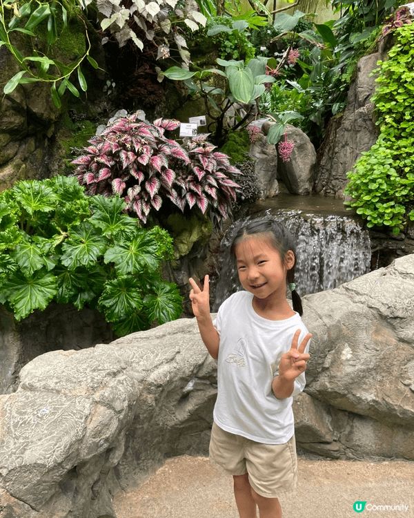 假日唔知帶小朋友去邊？來香港公園玩定向探索啦！🗺️🔍