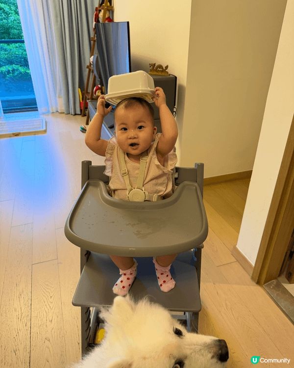 真心超級推薦 Stokke Tripp Trapp！佢嘅人體...