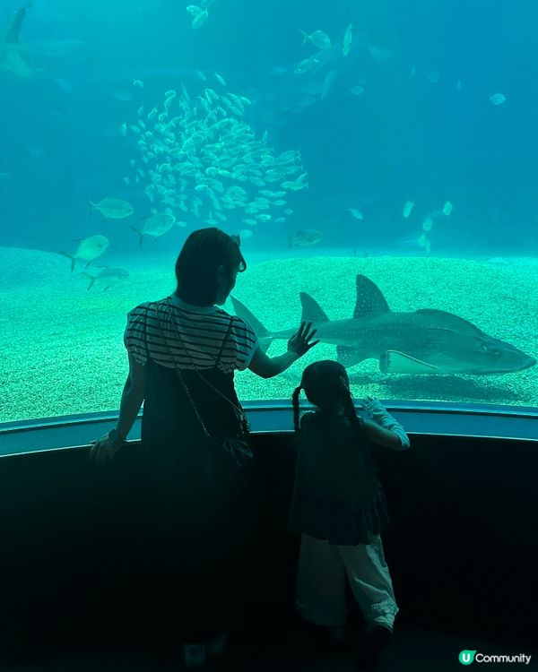大阪海遊館是世界最大規模的水族館之一，強烈推介：