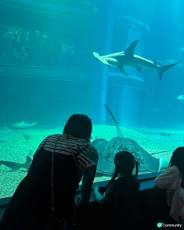 大阪海遊館是世界最大規模的水族館之一，強烈推介：