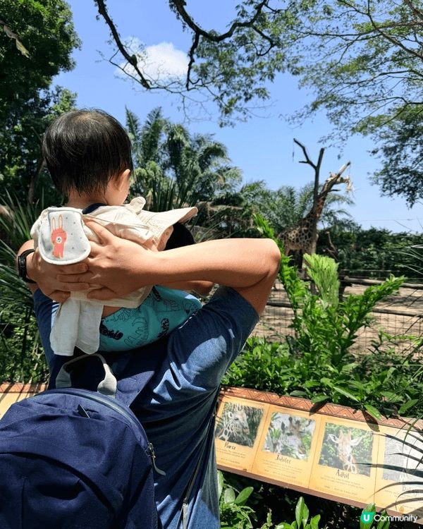 我好鍾意帶小朋友周圍去 探索世界 特別係食飯同埋旅行