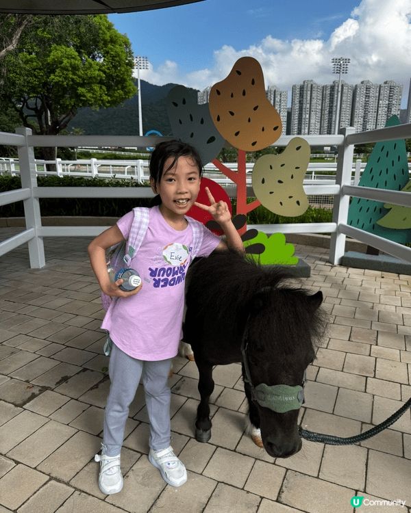 由沙田賽馬會舉辦的小馬大本營，不但可以比小朋友試吓騎小馬，大...