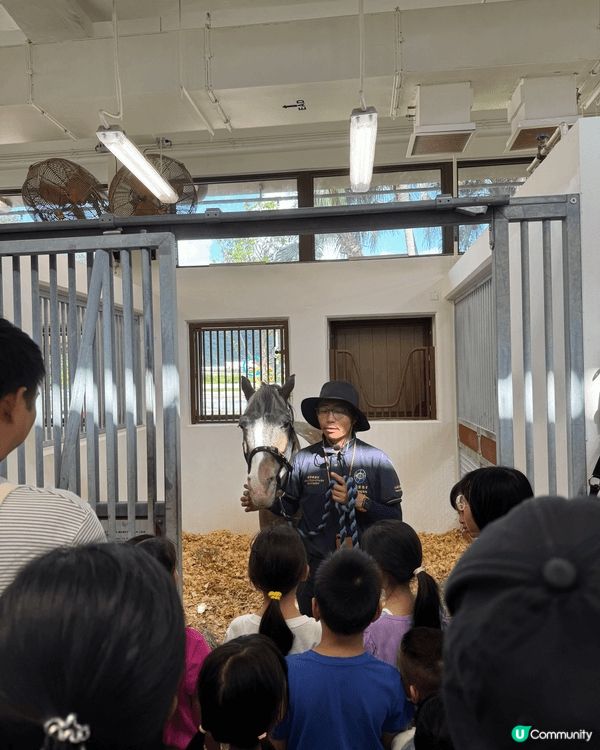 由沙田賽馬會舉辦的小馬大本營，不但可以比小朋友試吓騎小馬，大...