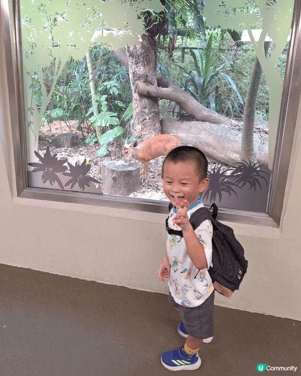 嘉道理農場暑假免費入園行山,  觀賞各種花卉和多種奇真植物,...