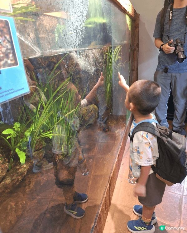 嘉道理農場暑假免費入園行山,  觀賞各種花卉和多種奇真植物,...