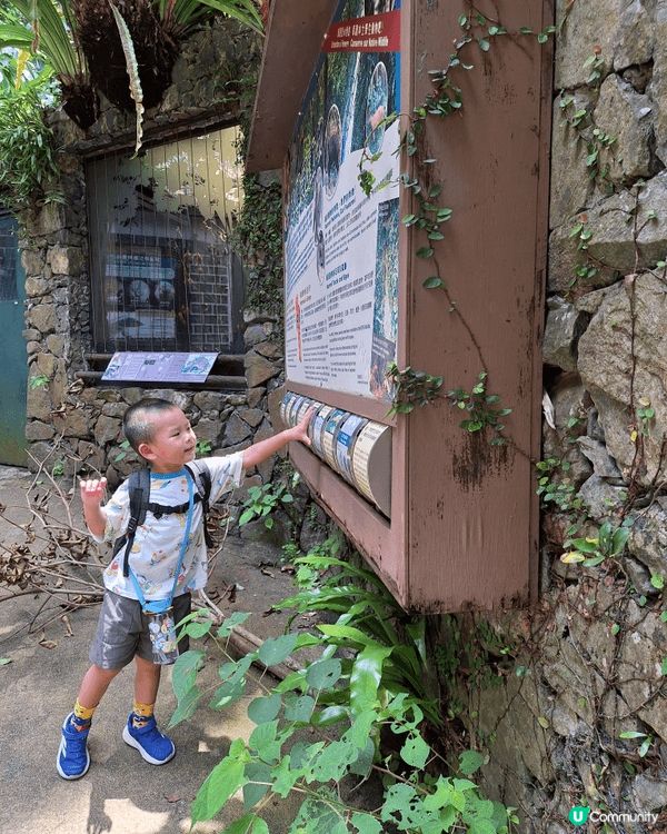 嘉道理農場暑假免費入園行山,  觀賞各種花卉和多種奇真植物,...