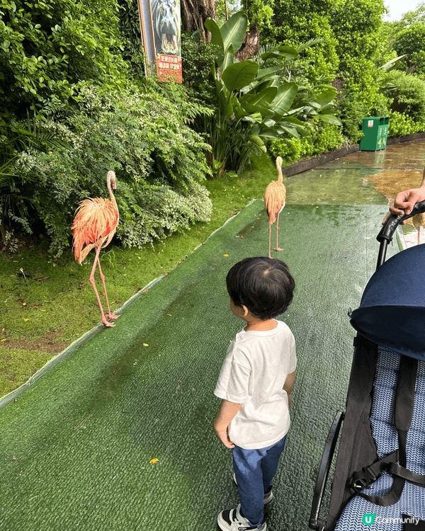 最近去到地鐵展和長隆動物園，很有趣