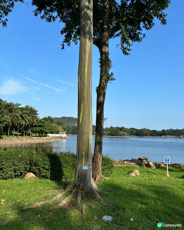 最開心嘅親子旅行莫過於去迪士尼以及迪欣湖遊玩，可以沿着迪欣湖...
