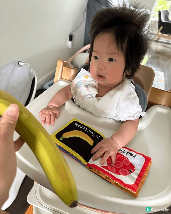 stokke tripp trapp 成長椅 啱啱5個月大就...